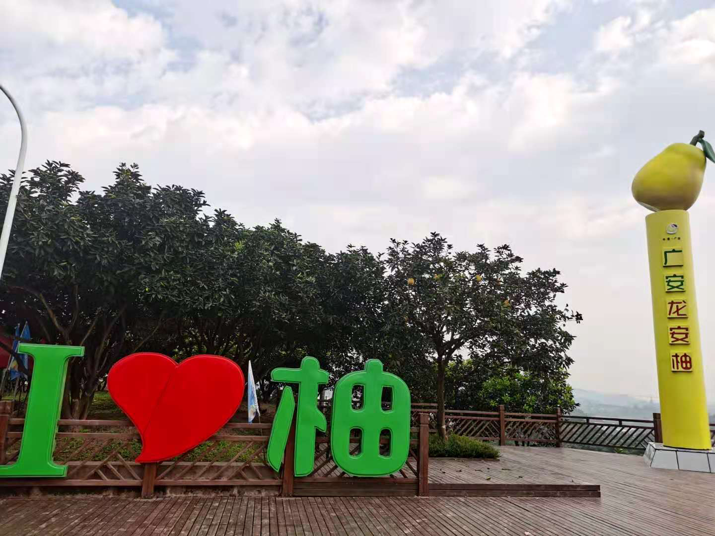 图片5.png