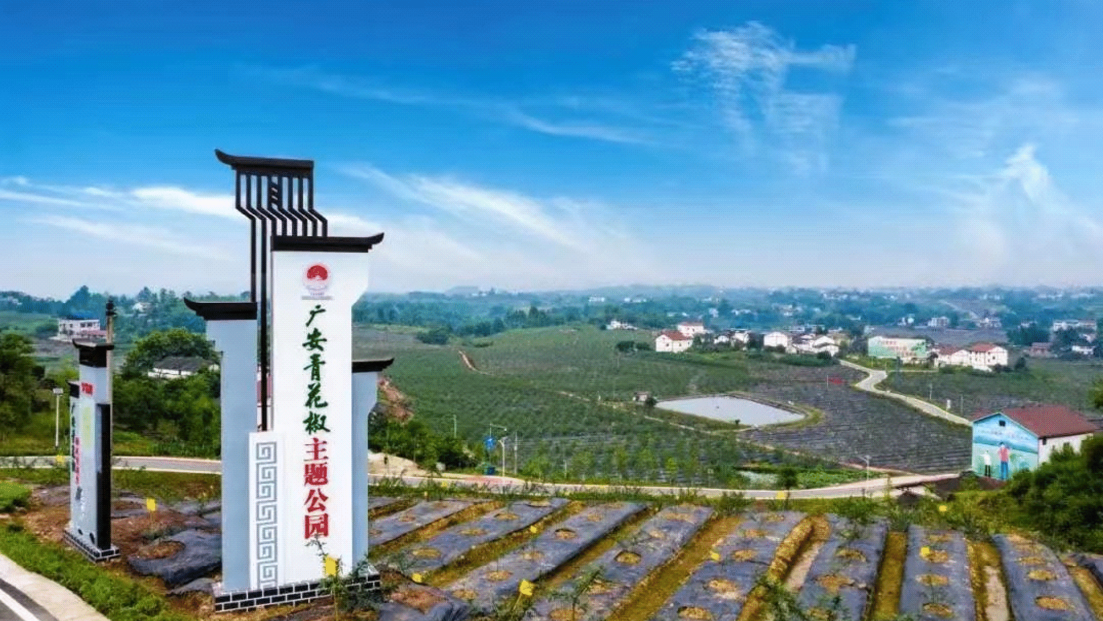 图片8.png