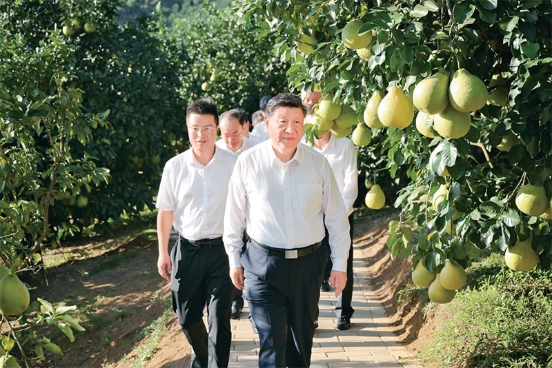 1770084107712001385.jpg a3.jpg